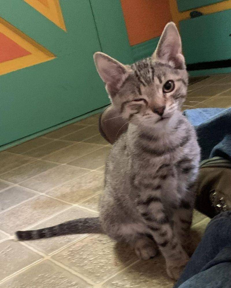 reddit.com/Worth_Captain_4208